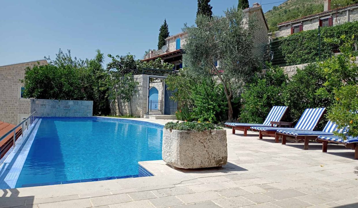 viber_image_2022-10-28_12-10-24-287